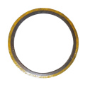 Wholesale Hardware Outering Flexitallic Filler Graphite Spiral Wound Gasket